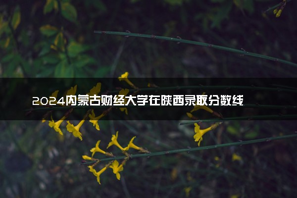 2024内蒙古财经大学在陕西录取分数线 各专业分数及位次