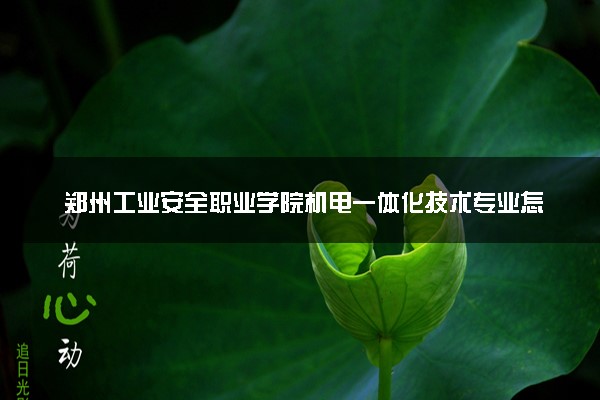 郑州工业安全职业学院机电一体化技术专业怎么样 录取分数线多少