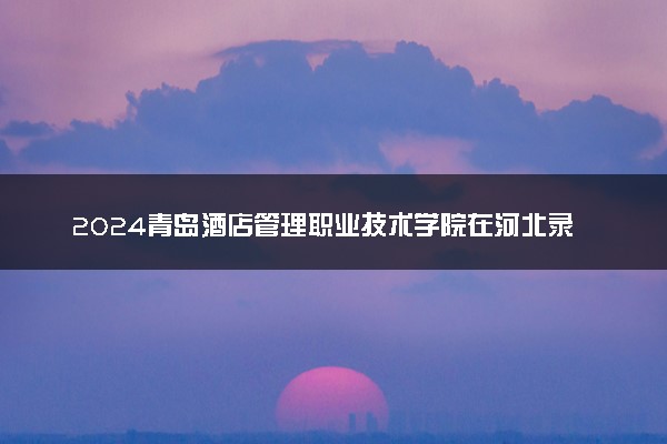 2024青岛酒店管理职业技术学院在河北录取分数线 各专业分数及位次