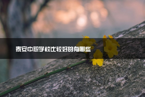 泰安中职学校比较好的有哪些