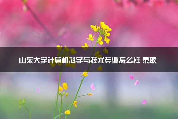 山东大学计算机科学与技术专业怎么样 录取分数线多少