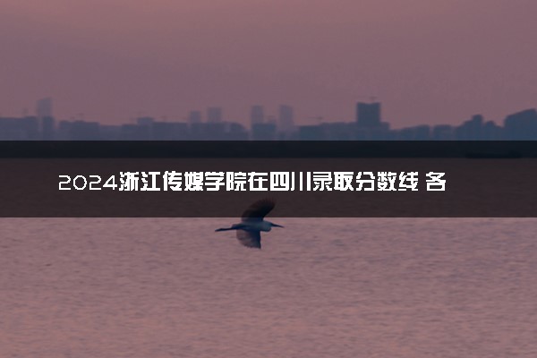 2024浙江传媒学院在四川录取分数线 各专业分数及位次