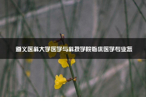 遵义医科大学医学与科技学院临床医学专业怎么样 录取分数线多少