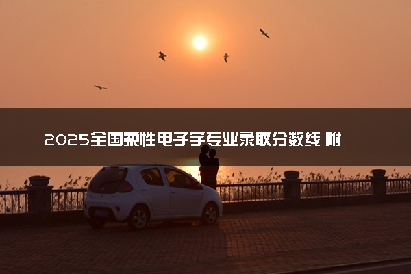 2025全国柔性电子学专业录取分数线 附最好的大学排名
