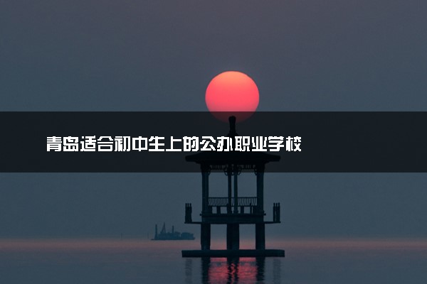 青岛适合初中生上的公办职业学校