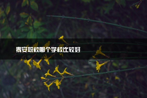 泰安职校哪个学校比较好