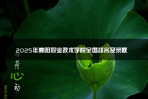 2025年襄阳职业技术学院全国排名及录取分数线