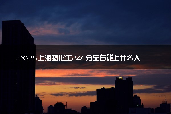 2025上海物化生246分左右能上什么大学 可以报考的院校名单