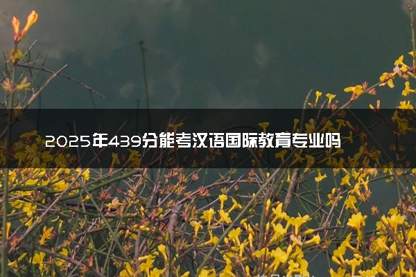 2025年439分能考汉语国际教育专业吗 439分汉语国际教育专业大学推荐