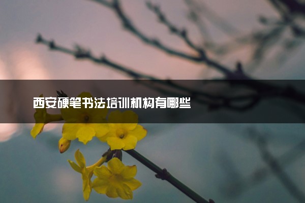 西安硬笔书法培训机构有哪些