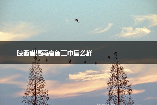 陕西省渭南高新二中怎么样