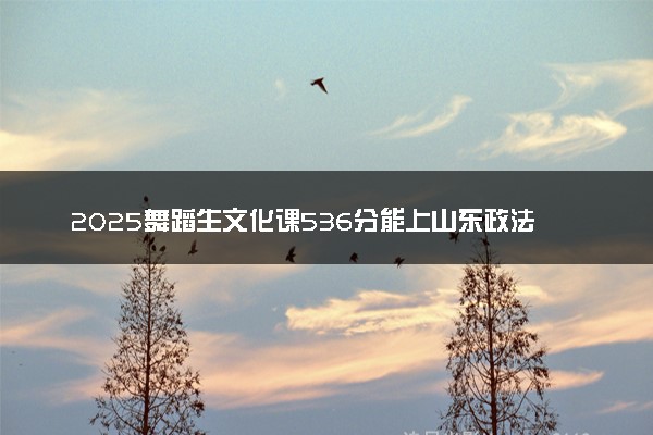 2025舞蹈生文化课536分能上山东政法学院吗