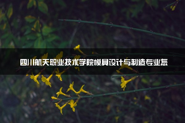 四川航天职业技术学院模具设计与制造专业怎么样 录取分数线多少
