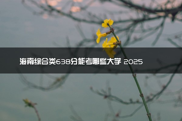 海南综合类638分能考哪些大学 2025考生稳上的大学名单