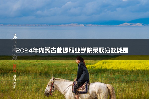 2024年内蒙古能源职业学院录取分数线是多少 各省最低分数线及位次