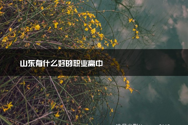 山东有什么好的职业高中