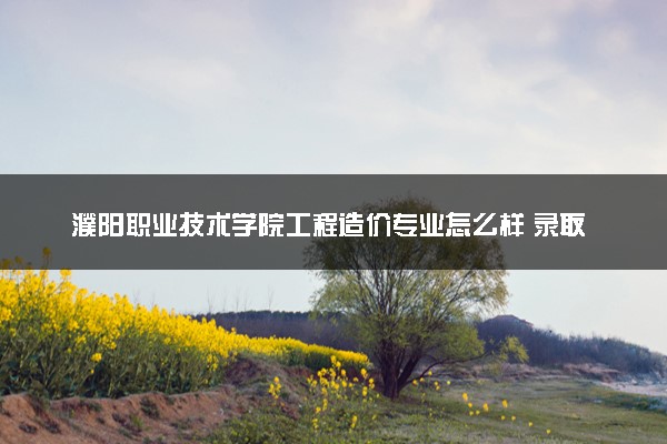 濮阳职业技术学院工程造价专业怎么样 录取分数线多少