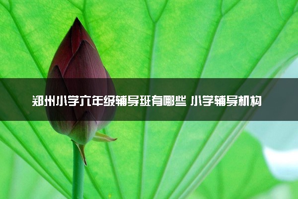 郑州小学六年级辅导班有哪些 小学辅导机构排名前十