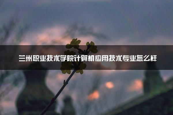 兰州职业技术学院计算机应用技术专业怎么样 录取分数线多少