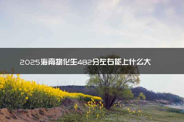 2025海南物化生482分左右能上什么大学 可以报考的院校名单