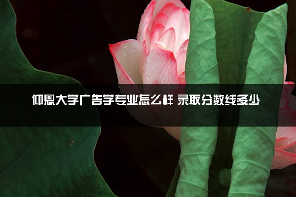 仰恩大学广告学专业怎么样 录取分数线多少