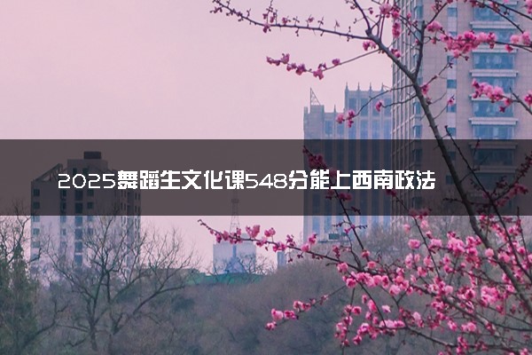 2025舞蹈生文化课548分能上西南政法大学吗