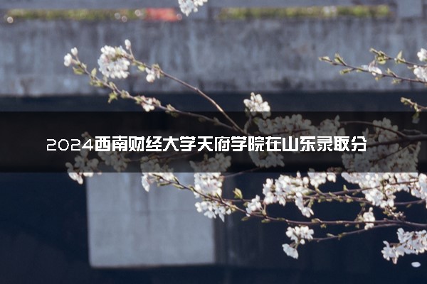 2024西南财经大学天府学院在山东录取分数线 各专业分数及位次