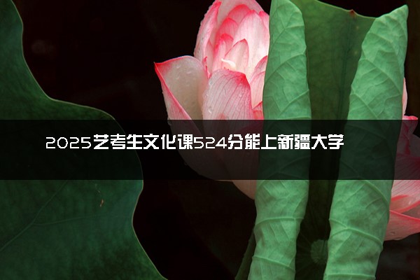 2025艺考生文化课524分能上新疆大学吗