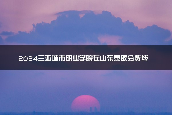 2024三亚城市职业学院在山东录取分数线 各专业分数及位次