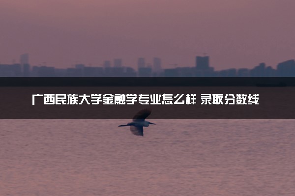 广西民族大学金融学专业怎么样 录取分数线多少
