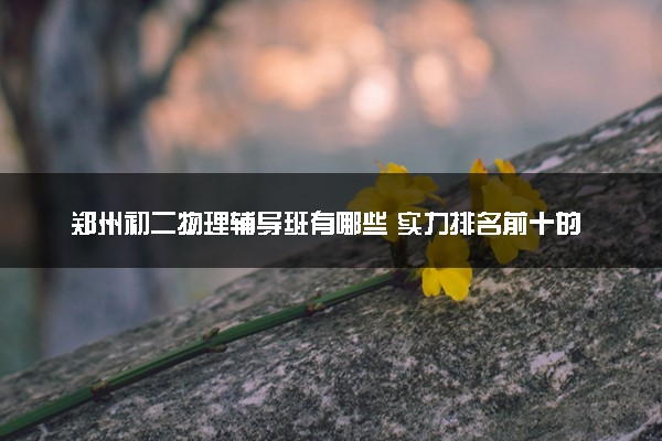 郑州初二物理辅导班有哪些 实力排名前十的有哪些