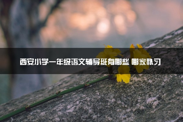 西安小学一年级语文辅导班有哪些 哪家补习班好