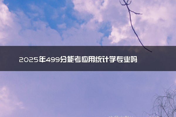 2025年499分能考应用统计学专业吗 499分应用统计学专业大学推荐