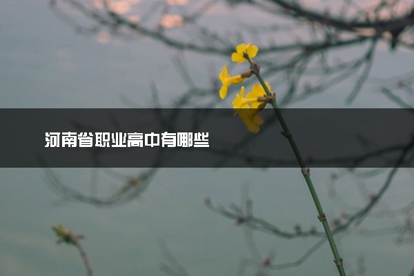 河南省职业高中有哪些