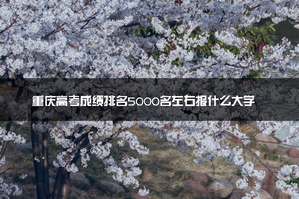 重庆高考成绩排名5000名左右报什么大学好（2025年参考）