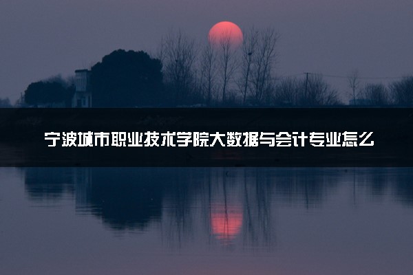 宁波城市职业技术学院大数据与会计专业怎么样 录取分数线多少