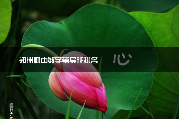 郑州初中数学辅导班排名