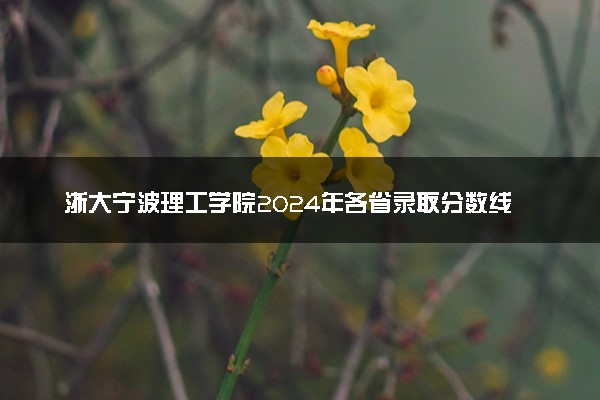 浙大宁波理工学院2024年各省录取分数线 多少分能考上