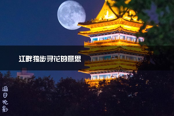 江畔独步寻花的意思