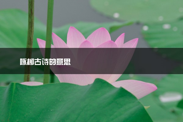 咏柳古诗的意思