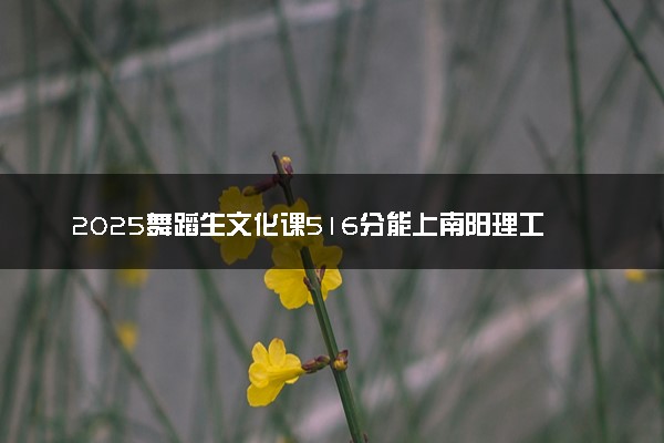 2025舞蹈生文化课516分能上南阳理工学院吗