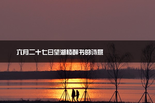 六月二十七日望湖楼醉书的诗意