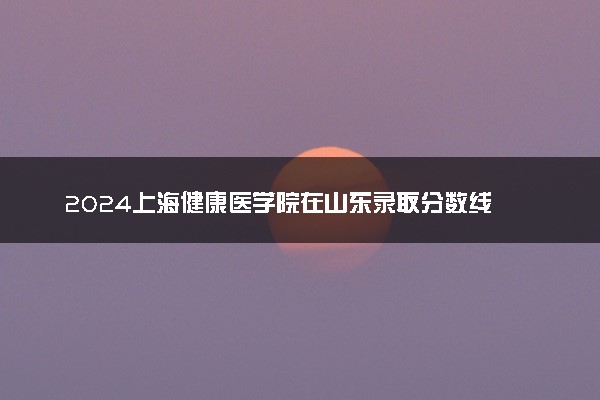 2024上海健康医学院在山东录取分数线 各专业分数及位次