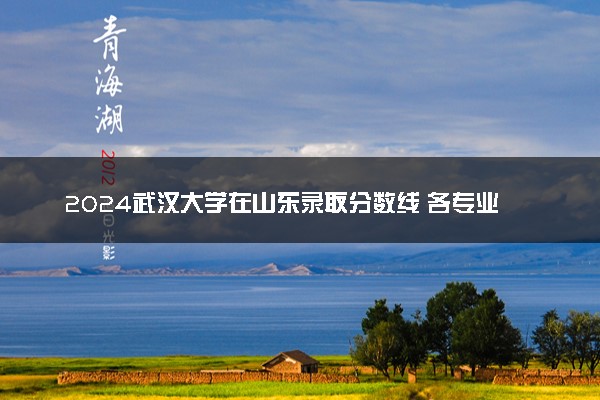2024武汉大学在山东录取分数线 各专业分数及位次