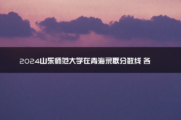 2024山东师范大学在青海录取分数线 各专业分数及位次
