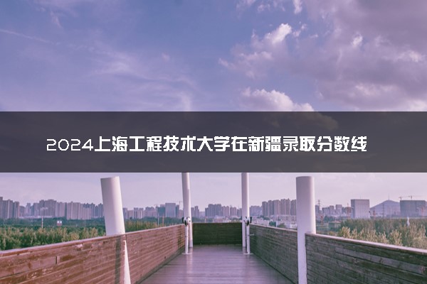 2024上海工程技术大学在新疆录取分数线 各专业分数及位次