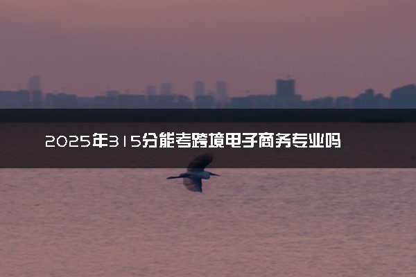 2025年315分能考跨境电子商务专业吗 315分跨境电子商务专业大学推荐