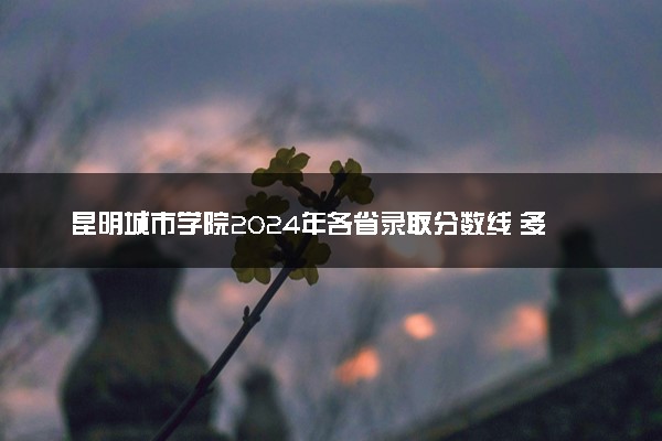昆明城市学院2024年各省录取分数线 多少分能考上