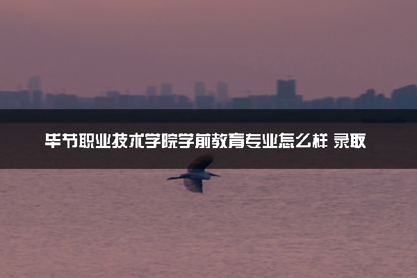 毕节职业技术学院学前教育专业怎么样 录取分数线多少