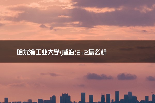 哈尔滨工业大学（威海）2+2怎么样